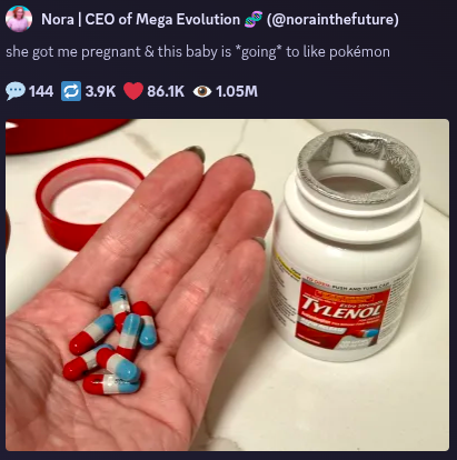 Nora writes the following on twitter: "she got me pregnant & this baby is *going* to like pokémon". In the accompanying picture we see her holding a handful of tylenol pills
