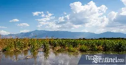 Hobbs ends leases for water-guzzling alfalfa farms owned by Saudi Arabia